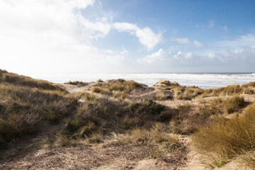 sandy dune beaches