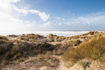 sandy dune beaches