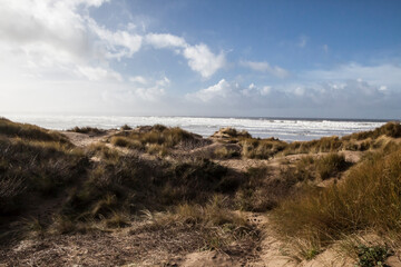 Fototapeta na wymiar sandy dune beaches