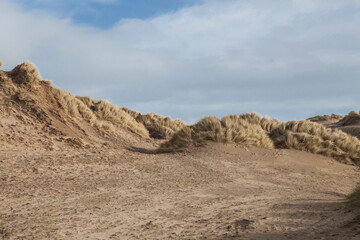 Fototapeta na wymiar sandy dune beaches