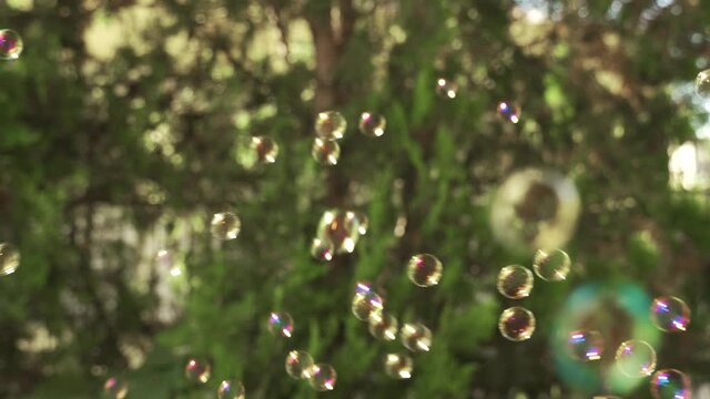 Bubbles flying slowly on air, colorful transparent spheres surface on green background