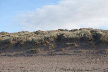 sandy dunes at beach