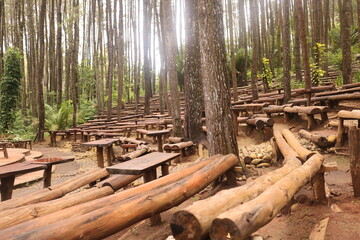 Pine forests Mangunan is an exotic romantic jungle located in Mangunan Village, Dlingo, Bantul Regency, Yogyakarta.