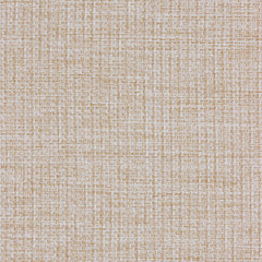 Brown sackcloth texture or background and empty space.