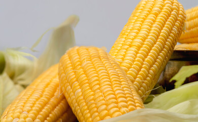 freshness seeds of sweet corn in a row and water drop on the table.