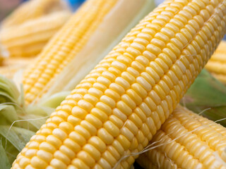 Freshness raw maize with peeled