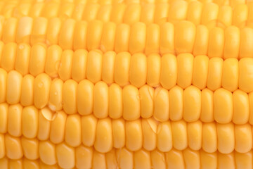 A drop of water on the yellow corn seed