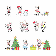Christmas set with the symbol of the New year 2021. Merry bulls and cows dress up the Christmas tree, drink champagne, give gifts. Happy New year and merry Christmas. Icons with different bulls.