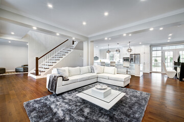 Real estate photography - New big luxury modern house in Montreal's suburb partially furnished with backyard, empty rooms, closets, basement and garage - obrazy, fototapety, plakaty