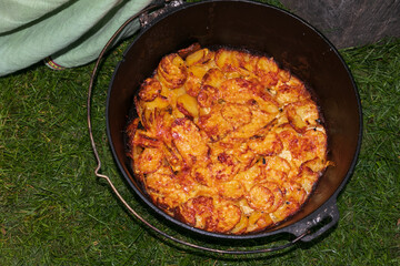 potato gratin in the dutch oven, outdoor cooking