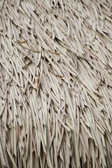 dry Nypa fruticans leaves roof