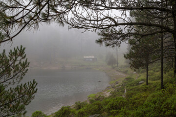 Fototapeta na wymiar cabin beside Iturbide lake with fog on fall morning in mexican forest