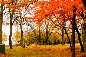 Fototapeta na wymiar ニューヨーク郊外の秋の落日