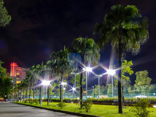 Night view of the Royal Palm Blvd