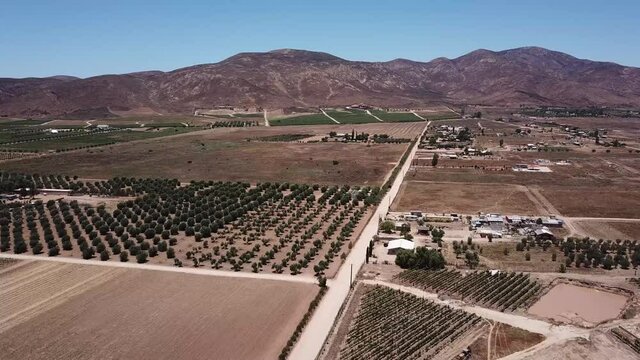 Flyover of valle de guadalupe dirt roads of the wine valley of baja california