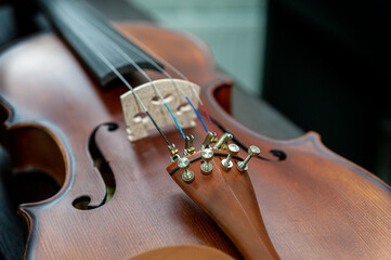 Violin on a black background