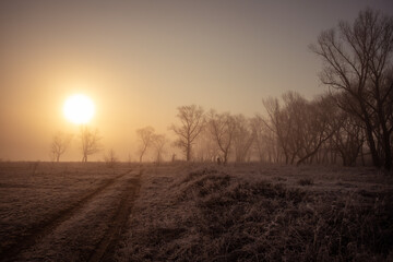 misty morning warm dawn spider web