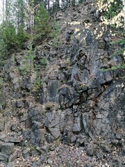 rocks in the forest