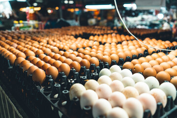 Eggs for sale in the market
