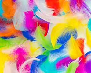 Many colorful feather texture