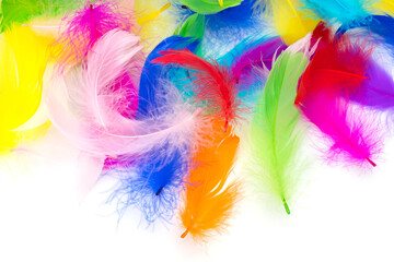 Many colored feathers