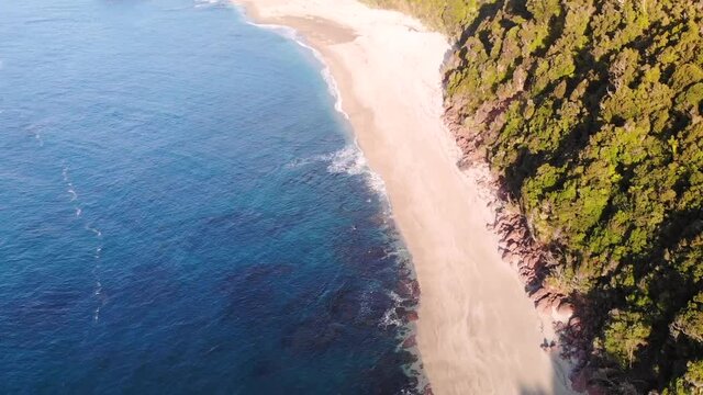 Lush Coastal Forest Along The Golden Sandy Shore Of Monro Beach In South Island, New Zealand - aerial drone, tilt down