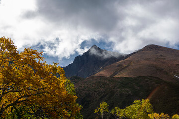 autumn landscape in the mountains
