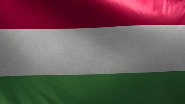 Flag of Hungary Loop 3D
