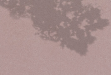 Summer background of plant shadows. Shadow of tree leaves on a pink wall. White and black to overlay a photo or mockup