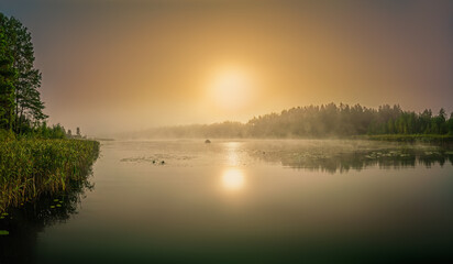 Beautiful foggy sunrise on the lake in autumn