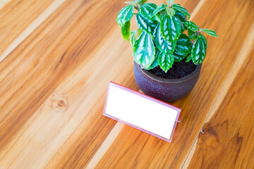 Restaurant reserved table sign with flowerpot on wooden desk. Mock up