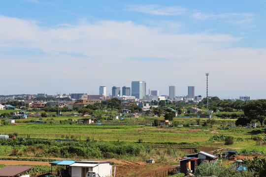 相模川流域の農業地帯（神奈川県座間市）