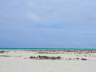 沖縄県 離島 久米島 はての浜の風景写真