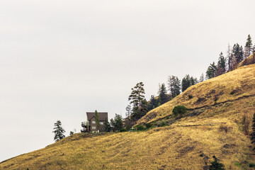 overcast summer day green forest and mountains in okanagan valley British Columbia Canada.