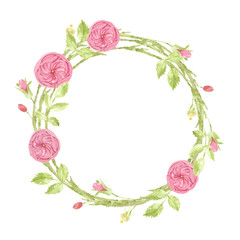 watercolor pink english rose wreath frame