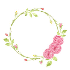 watercolor pink english rose wreath frame