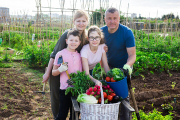 Obraz premium Portrait of positive family of four in backyard garden with gathered greens and vegetables