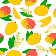 Vector cartoon seamless pattern with Mangifera indica or Mango exotic fruits, flowers and leafs on white background