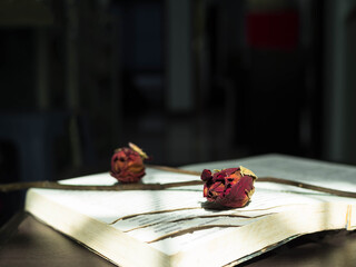 Dry red rose on old book with dark black background. broken heart concetp.