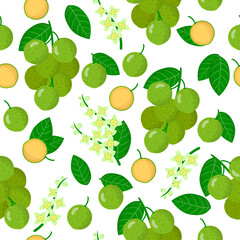 Vector cartoon seamless pattern with Melicoccus or Mamonchillo exotic fruits, flowers and leafs on white background
