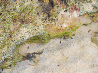 沖縄　久米島の風景　シンリ浜