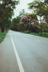 Fototapeta na wymiar Empty asphalt road through the green field and tree on the forest in summer day. Highway in rural scenes use land transport and traveling background. Trip and journey perspective concept.