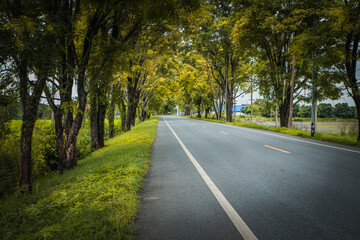 Fototapeta premium The scenic route