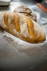 Freshly baked artisan breads