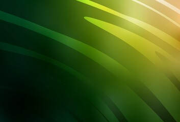 Dark Green, Red vector pattern with wry lines.