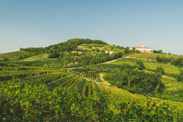 Fototapeta na wymiar Beautiful panoramic view of vineyards hills in Friuli Venezia Giulia region, Collio, Colli Orientali.