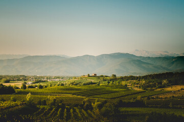 Obraz premium Piękny panoramiczny widok na wzgórza winnic w regionie Friuli Venezia Giulia, Collio, Colli Orientali.
