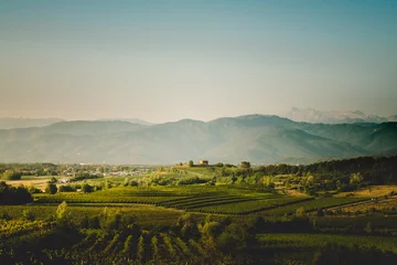 Fototapete Beautiful panoramic view of vineyards hills in Friuli Venezia Giulia region, Collio, Colli Orientali. © William