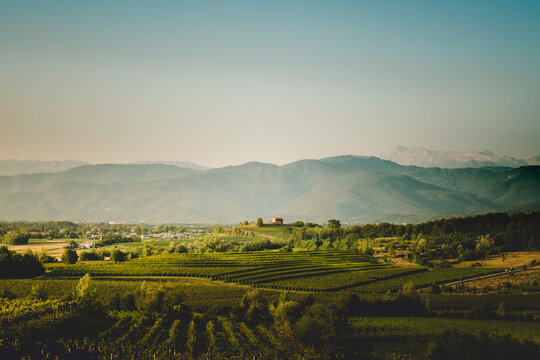 Beautiful panoramic view of vineyards hills in Friuli Venezia Giulia region, Collio, Colli Orientali.