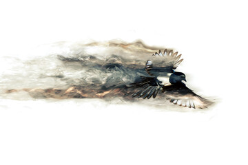 Abstract nature. Flying bird. Dispersion effect. 